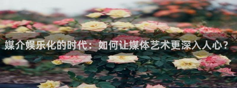 安信12平台登陆入口：媒介娱乐化的时代：如何让媒体艺术更深入人心？