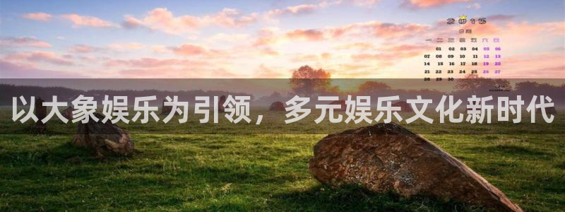 安信12：以大象娱乐为引领，多元娱乐文化新时代