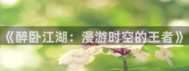 安信12：《醉卧江湖：漫游时空的王者》