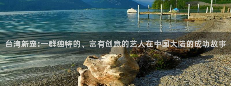 安信12平台：台湾新宠:一群独特的、富有创意的艺人在中国大陆的成功故事