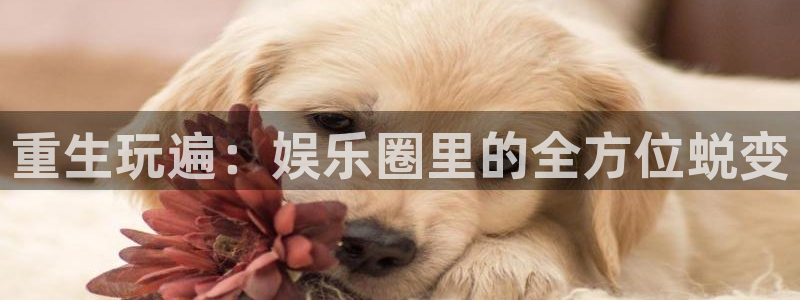 安信12最新版本更新内容：重生玩遍：娱乐圈里的全方位蜕变