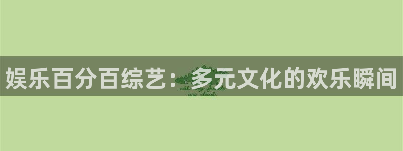安信12登陆：娱乐百分百综艺：多元文化的欢乐瞬间