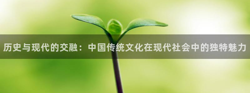 安信12平台登陆入口：历史与现代的交融：中国传统文化在现代社会中的独特魅力