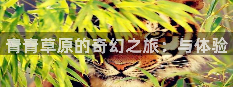 安信12注册登录：青青草原的奇幻之旅：与体验