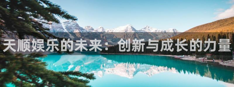安信12平台登录注册：天顺娱乐的未来：创新与成长的力量