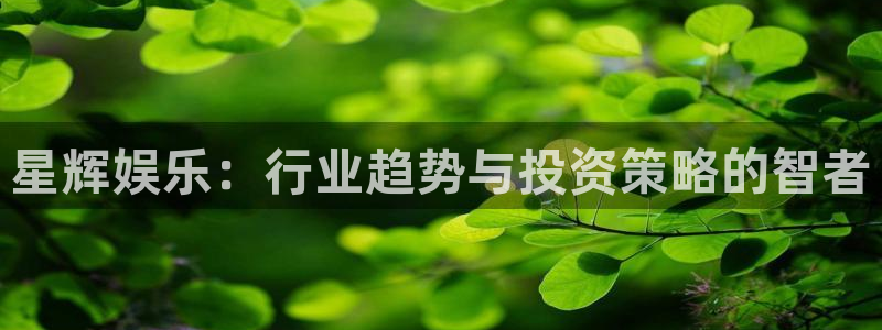 安信12登录入口最新版本更新内容：星辉娱乐：行业趋势与投资策略的智者
