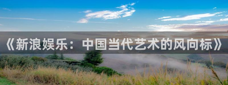 安信12登陆：《新浪娱乐：中国当代艺术的风向标》